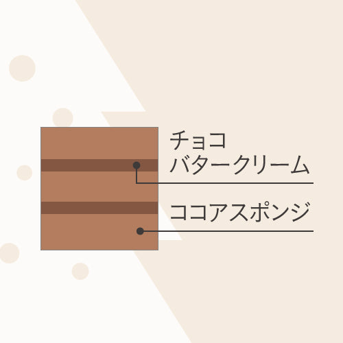 サンタランドのチョコケーキ