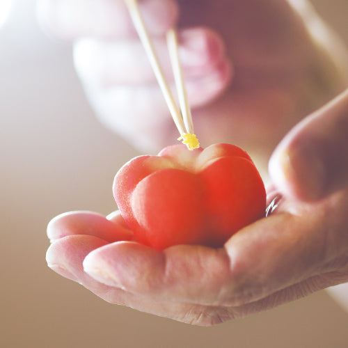 特選上和生菓子詰合せ【2026】